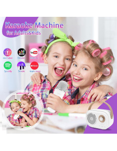 Mini Máquina de Karaoke Aresrora C20 Plus con 2 Micrófonos 2