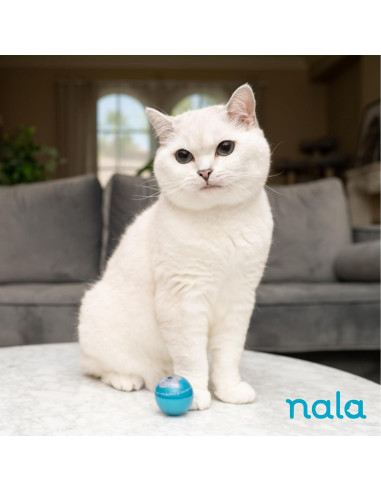 Pelotas LED Wacky Bouncers Nala - Juguete para Gatos - 4 Pzas