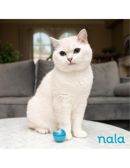 Pelotas LED Wacky Bouncers Nala - Juguete para Gatos - 4 Pzas