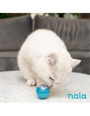 Pelotas LED Wacky Bouncers Nala - Juguete para Gatos - 4 Pzas