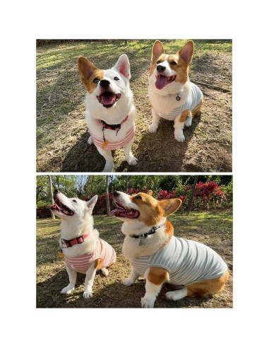 Camisa para Perro Koneseve 3XL Rosa y Verde Transpirable