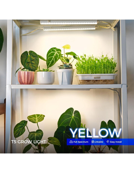 Luces de Cultivo LED Barrina T5 1ft Amarillo Espectro Completo - Paquete de 8
