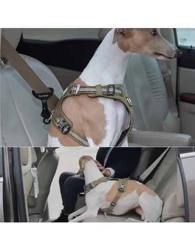Cierre de Seguridad para Cinturón de Perro Truelove - Universal