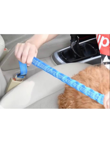 Cinturón de Seguridad para Perros Ajustable - Yiwu Haqi