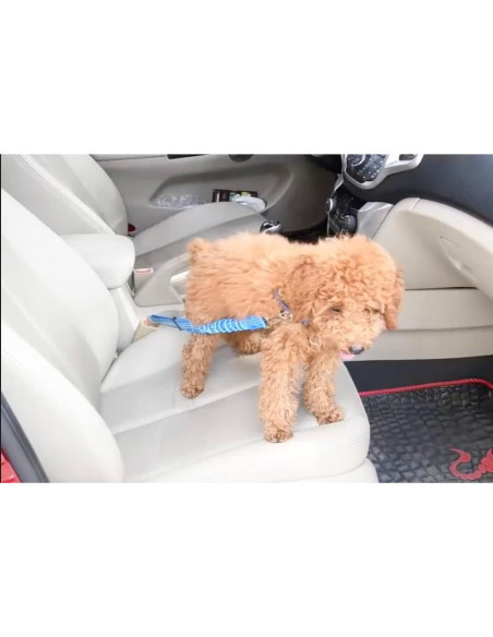 Cinturón de Seguridad para Perros Ajustable - Yiwu Haqi