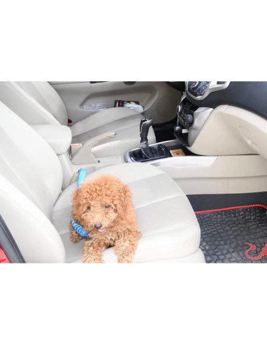 Cinturón de Seguridad para Perros Ajustable - Yiwu Haqi