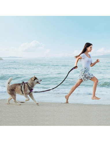 Correa para Perros PoyPet 1.52m Reflectante con 2 Mangos Acolchados