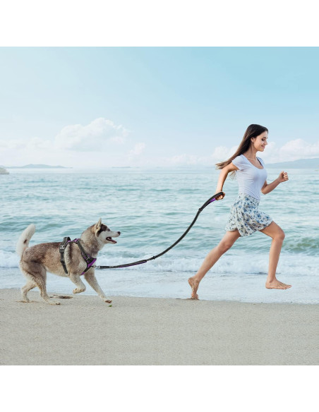 Correa para Perros PoyPet 1.52m Reflectante con 2 Mangos Acolchados Correa para Perros PoyPet 1.52m Reflectante con 2 Mangos Acolchados