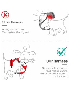 Arnés para Perros PoyPet XS Ajustable Reflectante Azul Menta 2