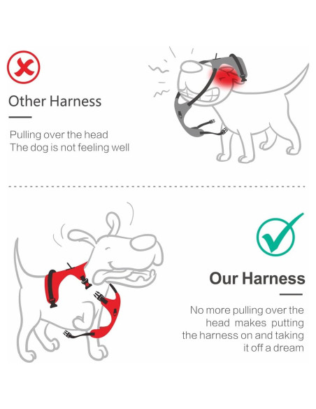 Arnés para Perros PoyPet XS Ajustable Reflectante Azul Menta Arnés para Perros PoyPet XS Ajustable Reflectante Azul Menta