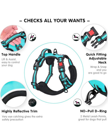 Arnés para Perros PoyPet XS Ajustable Reflectante Azul Menta