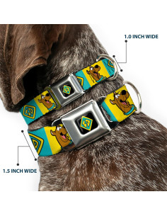 Collar para Perros Scooby Doo Buckle-Down 38-61 cm 2.54 cm 2