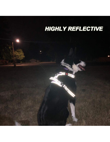 Arnés para Perros PoyPet XS Ajustable Reflectante Azul Menta