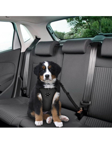 Cinturón de Seguridad para Perros CZZY Ajustable 65-90 cm