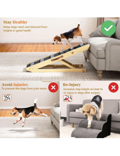 Rampa para Perros REONEY Plegable Antideslizante 200 kg 2