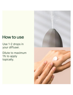 Aceite Esencial de Jengibre CO2 100% Puro 10 mL Plant Therapy 2