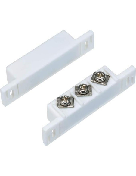 Interruptor de Lengüeta Magnética Bnafes NC NO 2 Conjuntos