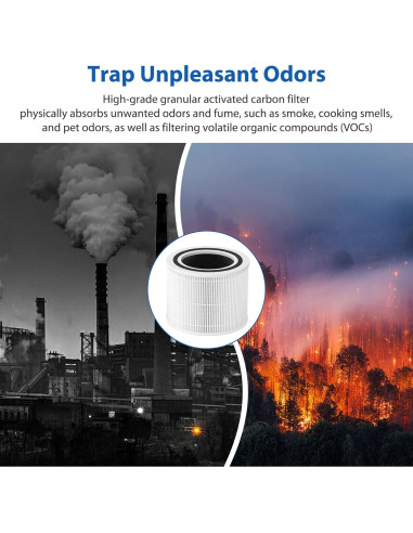 Filtro HEPA Colorfullife Core 300 para Purificador de Aire