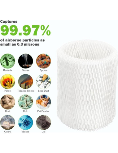 Paquete de 4 Filtros HEPA Aokcsha para Humidificadores Canopy