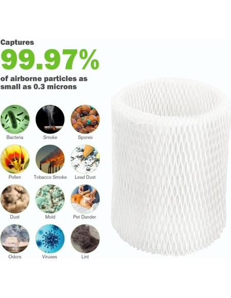 Paquete de 4 Filtros HEPA Aokcsha para Humidificadores Canopy