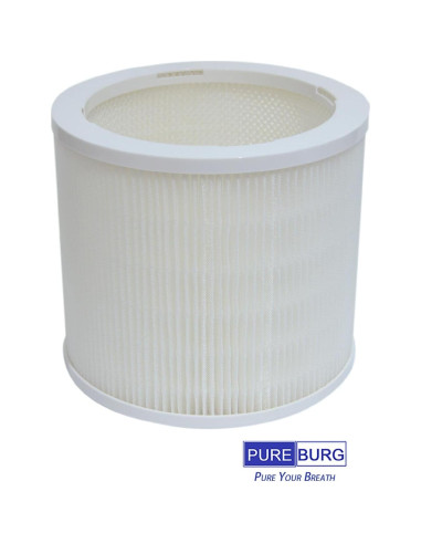 Filtros de Reemplazo PUREBURG AS06FT-2 para Purificador de Aire