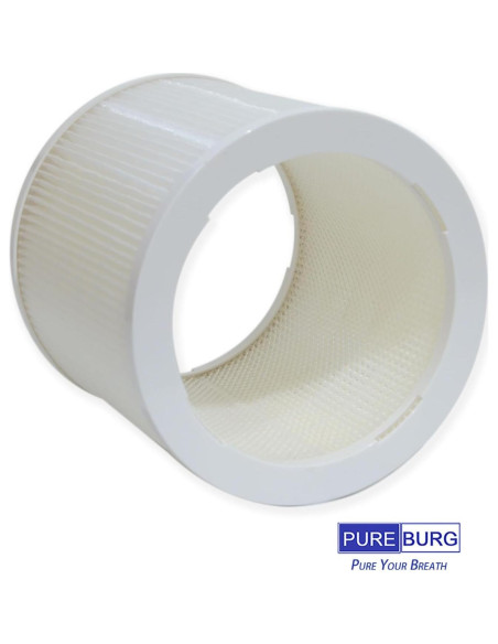 Filtros de Reemplazo PUREBURG AS06FT-2 para Purificador de Aire