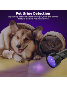 Linterna UV Escolite 51 LED para detección de orina 2