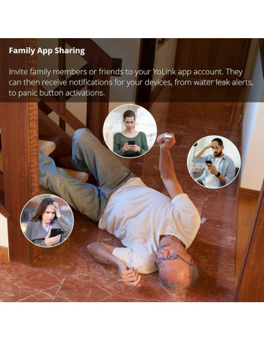 Mando Inteligente YoLink FlexFob 4 Botones, Control Alexa e IFTTT