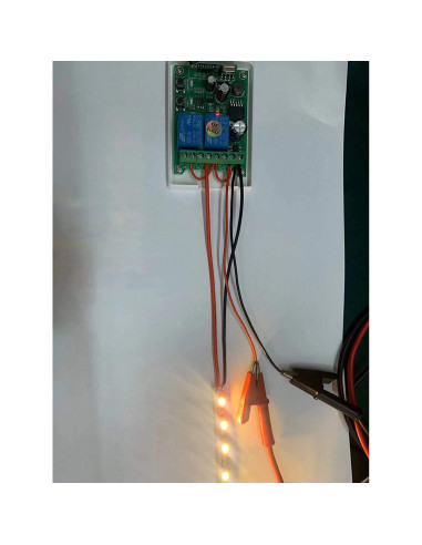 Interruptor Remoto Inalámbrico Kaleinavi 2 Canales 12-48V