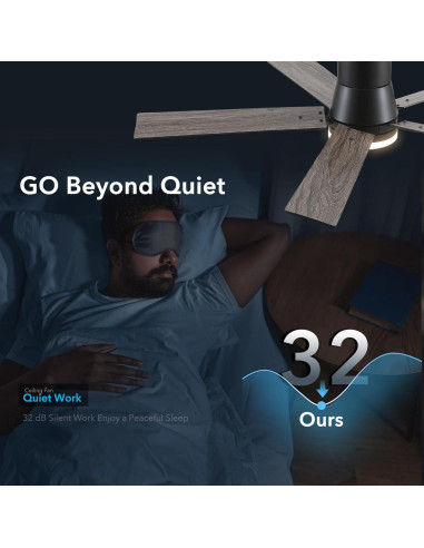 Ventilador de Techo Rayqueen 132 cm Negro con Control Remoto