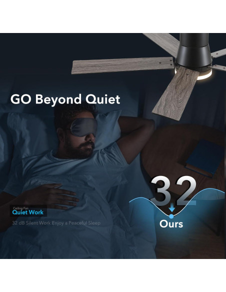 Ventilador de Techo Rayqueen 132 cm Negro con Control Remoto