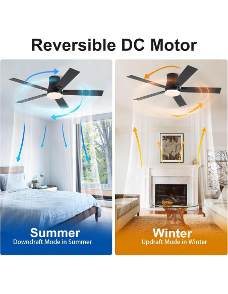 Ventilador de Techo Rayqueen 132 cm Negro con Control Remoto