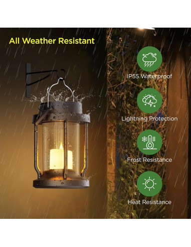 Linterna Solar Colgante FriutShine - 2 Paquete Negro, 17cm