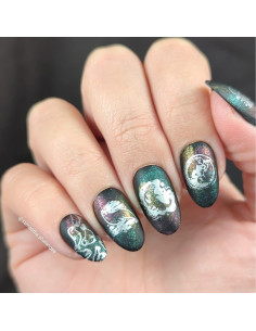 Placa de Estampado de Uñas Maniology M547 - Focas Invernales 2