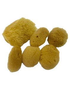 Esponjas de Seda Natural Suave 6 Pzs 3.81-7.62 cm para Maquillaje