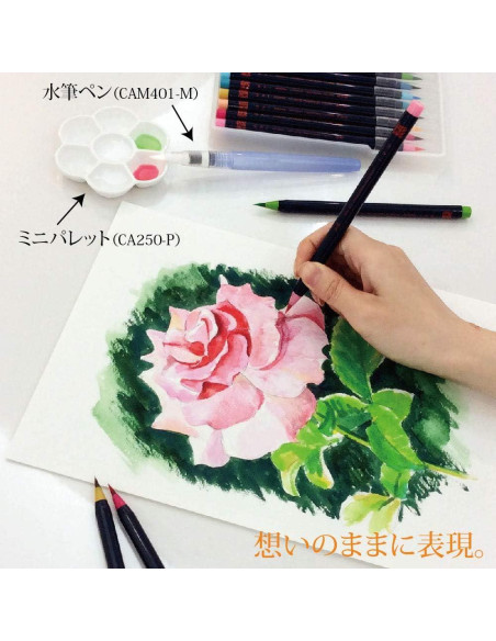 Bolígrafos de Acuarela Akashiya Sai CA200/20V - Set 20 Colores