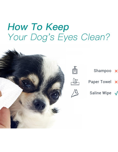 Toallitas Estériles de Salina Winner 70 Unidades 15x20 cm