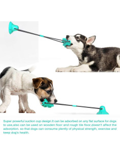 Juguete para Perros Guardians con Ventosa y Cuerda Azul 2