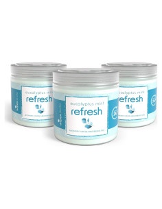 Eliminador de Olores Wipex Eucalipto 3 Tarros Gel 425g