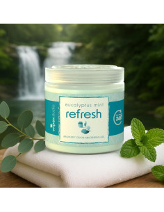 Eliminador de Olores Wipex Eucalipto 3 Tarros Gel 425g 2