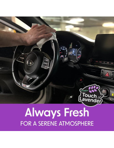 Toallitas de Limpieza para Interiores de Auto Wipex - 40 Unidades 2