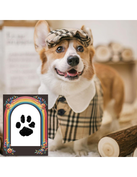 Kit de Huellas de Bebé y Mascotas Arcoíris - 2 Almohadillas