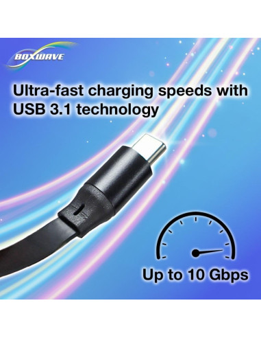 Cable BoxWave USB Tipo-C Retráctil 240W para Lepow D15