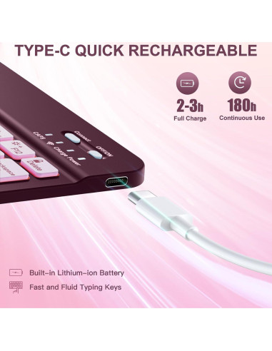 Funda con Teclado para iPad Air 11" Harvopu Mulberry