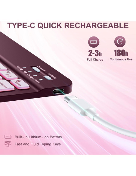 Funda con Teclado para iPad Air 11" Harvopu Mulberry