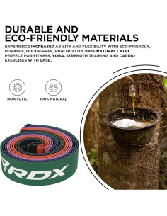 Conjunto de Bandas de Resistencia RDX 5 Niveles 2.27-11.34 kg 2