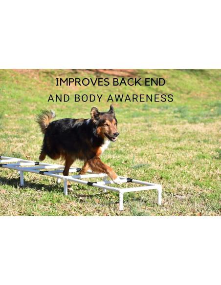 Escalera de Agilidad para Perros Mejor Sporting 274 cm