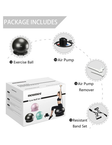Silla de Pelota de Ejercicio NEUMEE 65 cm con Bandas de Resistencia