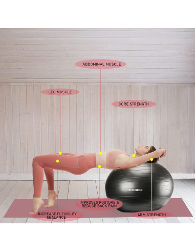 Silla de Pelota de Ejercicio NEUMEE 65 cm con Bandas de Resistencia