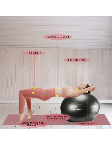 Silla de Pelota de Ejercicio NEUMEE 65 cm con Bandas de Resistencia